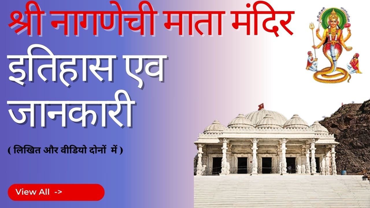 product categories 2