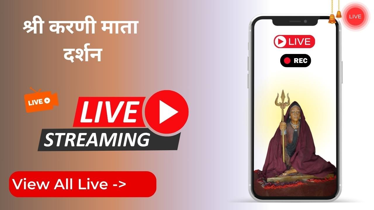 product categories 2