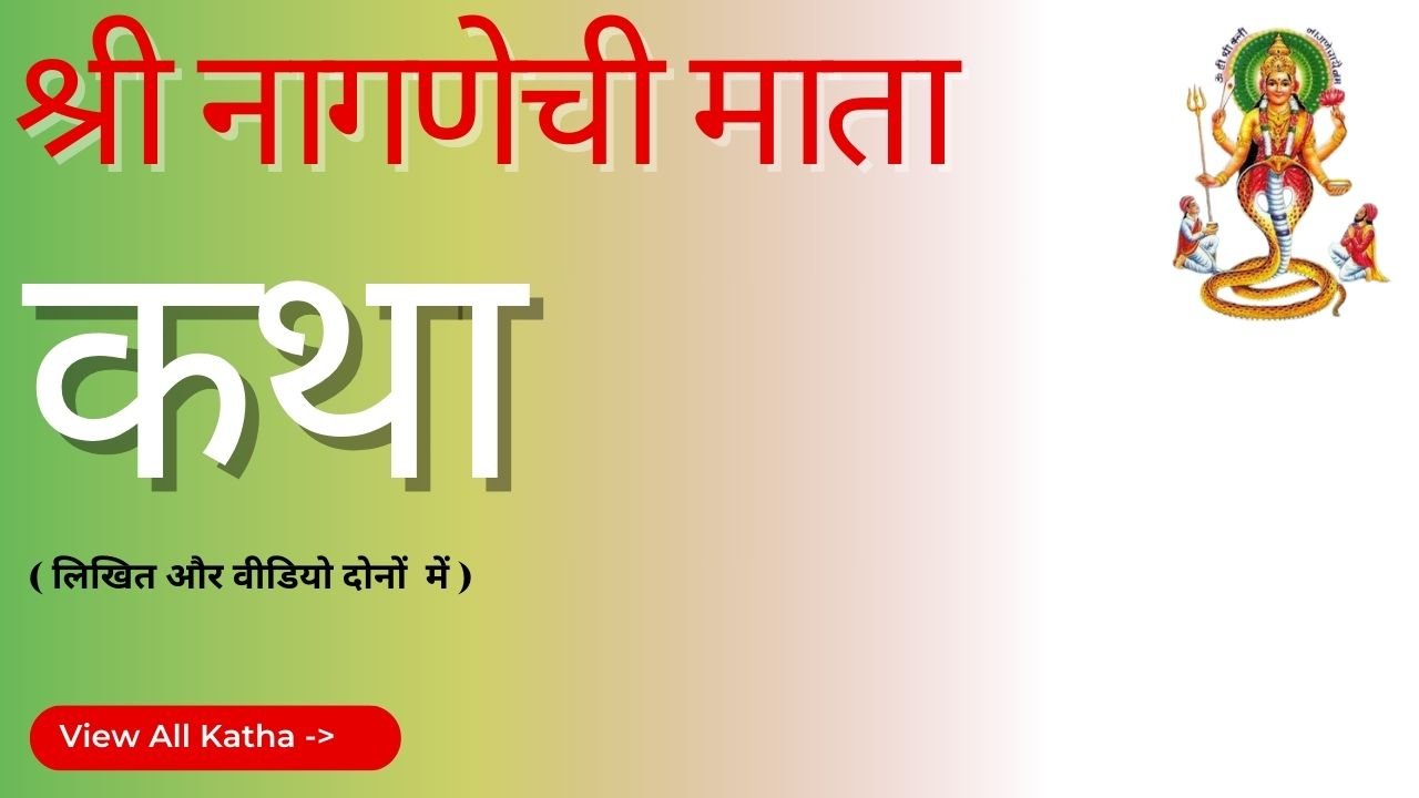 product categories 2